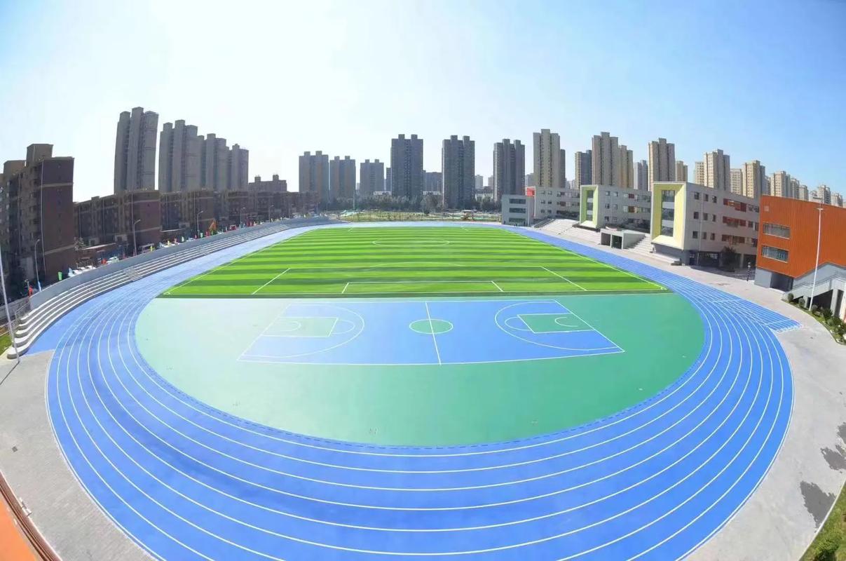 翔奥体育案例图片