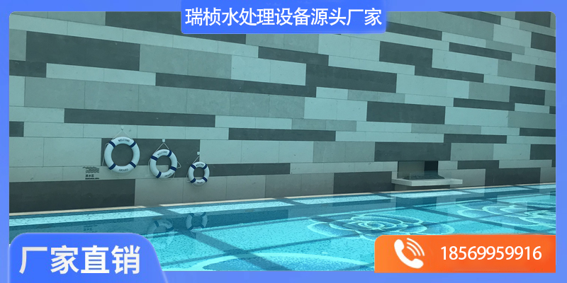 泳池水消毒设备